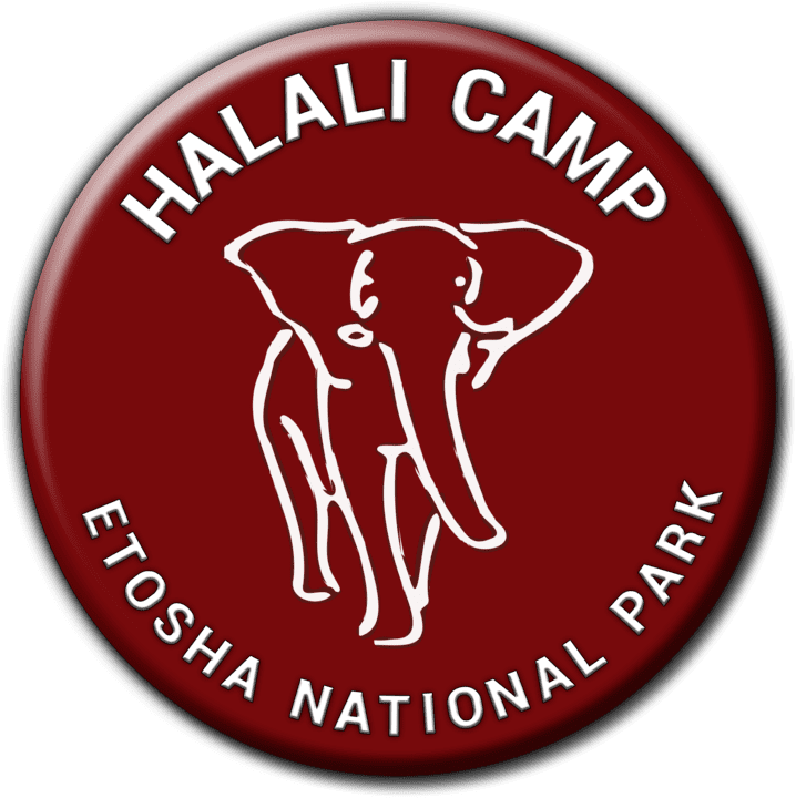 Halali Camp banner