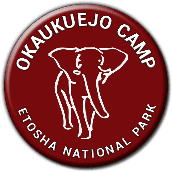 Okaukuejo Camp banner