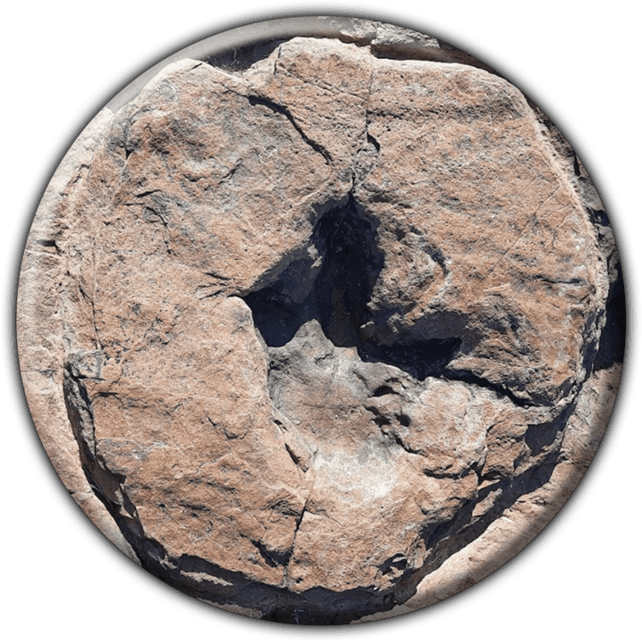 Dinosaur Tracks Guestfarm Farm Otjihaenamaparero banner