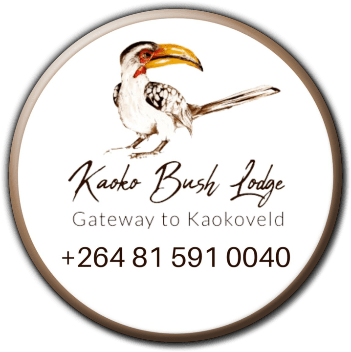 Kaoko Bush Lodge banner