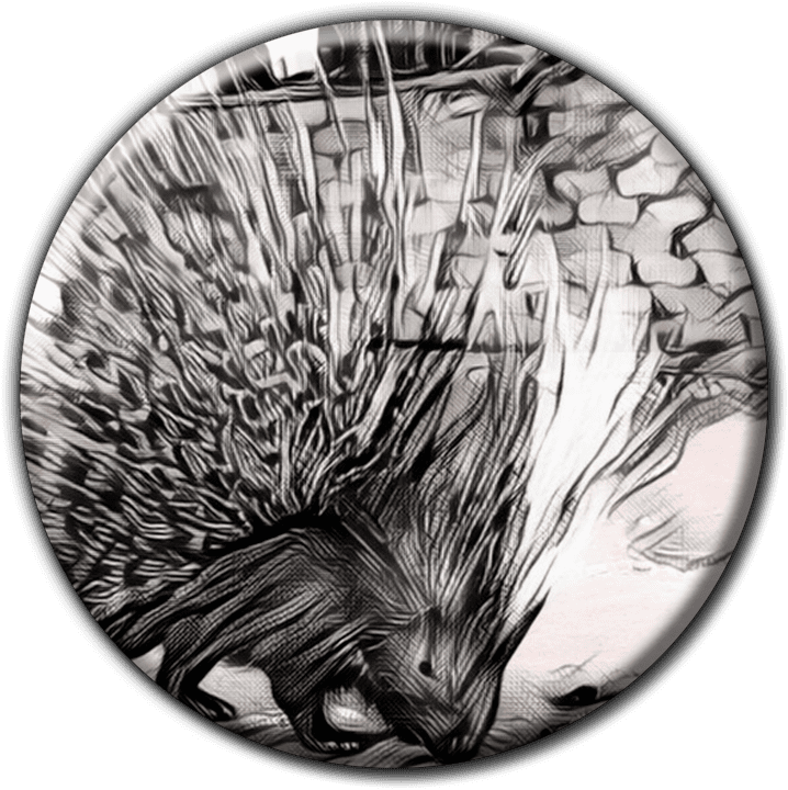 Porcupine Camp banner