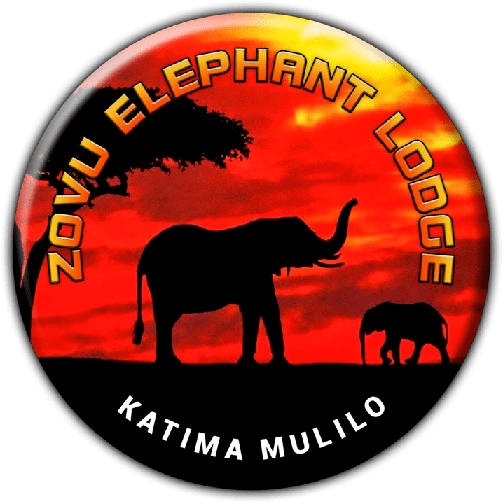 Zovu Elephant Lodge banner