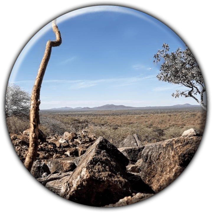 Tana Safaris Bush Camp banner