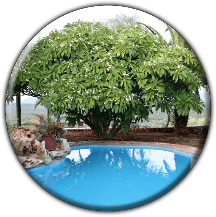 Bambatsi Guestfarm - Camping and Caravanning Accommodation in Outjo, Namibia