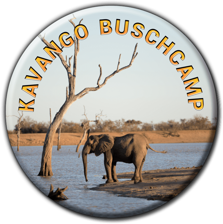 Kavango Buschcamp banner