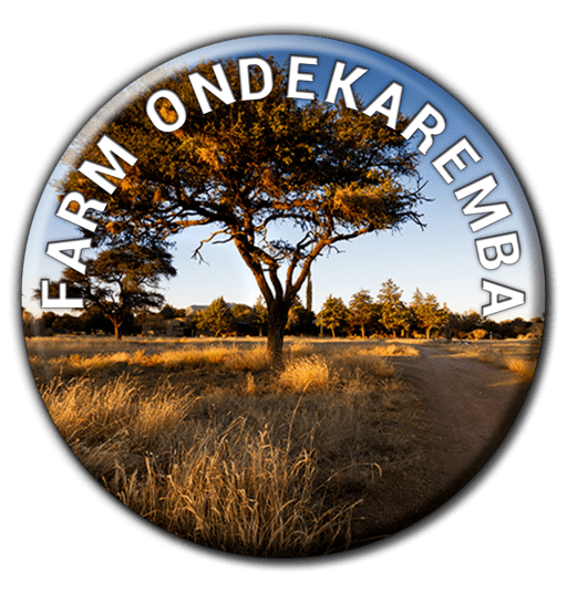 Ondekaremba Campsite banner