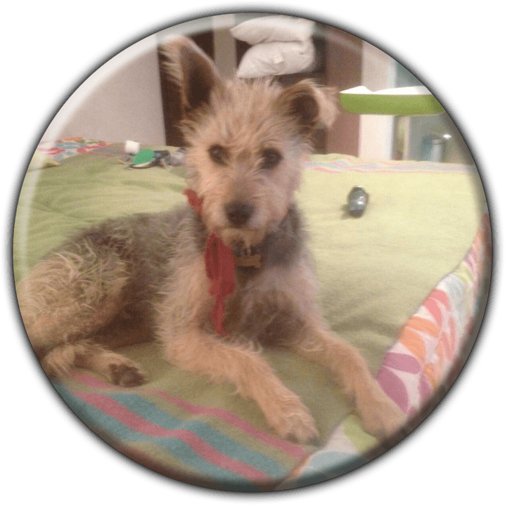 Olympus Guesthouse - Guesthouse Accommodation Across Namibia in Windhoek, Namibia