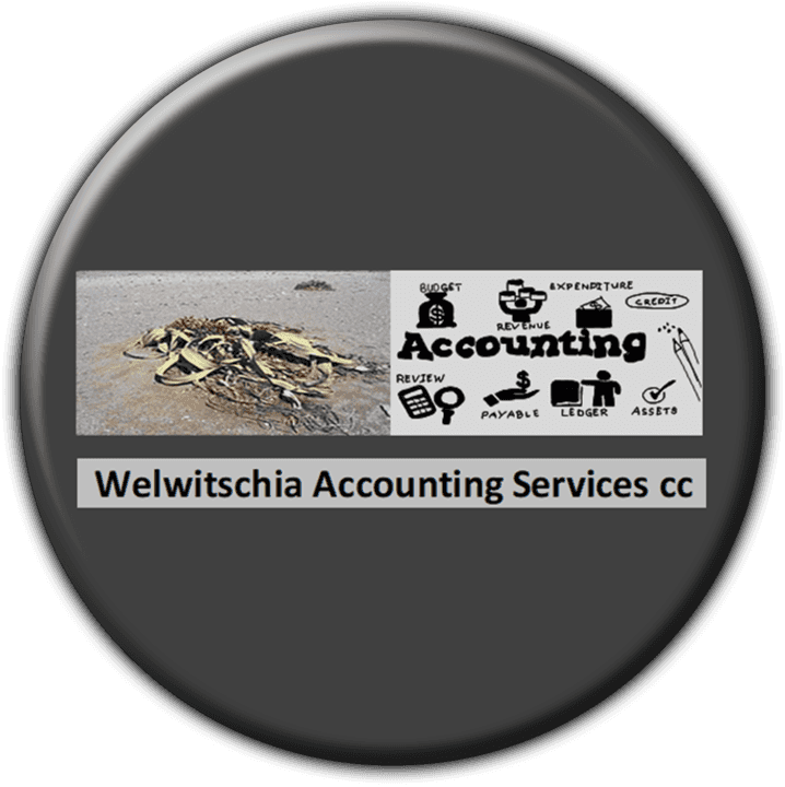 Welwitschia Accounting and Tax Services banner