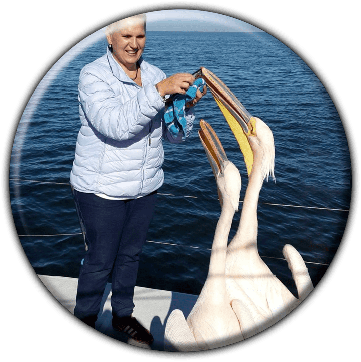 Namibia Dolphin and Seal Catamaran Cruises - Adventure Sports in Walvis Bay, Namibia