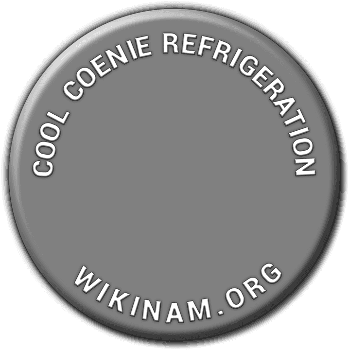 Cool Coenie Refrigeration - Air Conditioning Motor Vehicle in Windhoek, Namibia