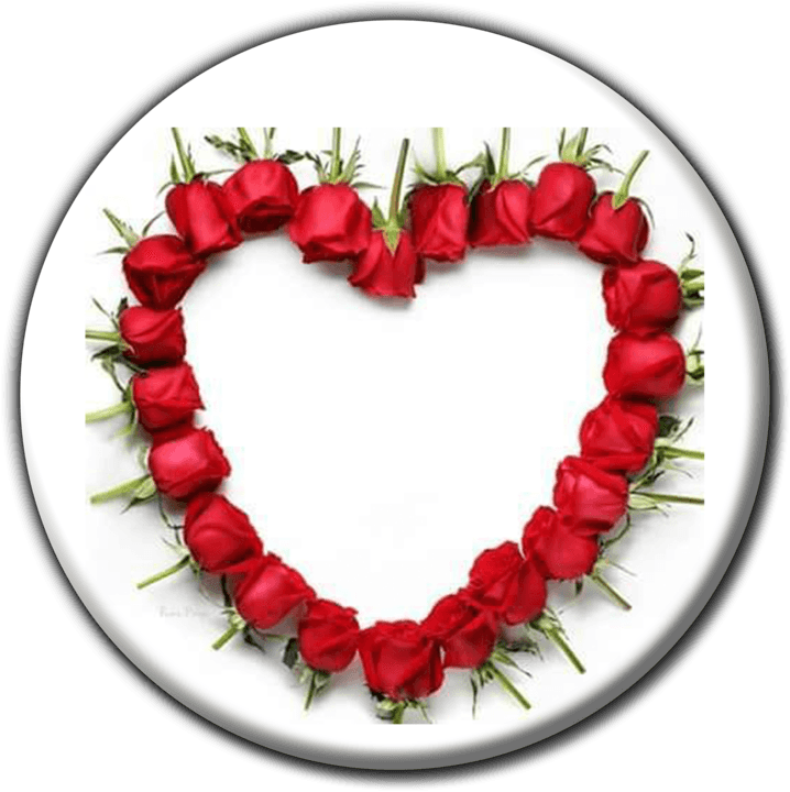 Ilala Flowers & Gifts - Florists (Custom Bouquets, Event Décor & Flower Delivery) in Grootfontein, Namibia