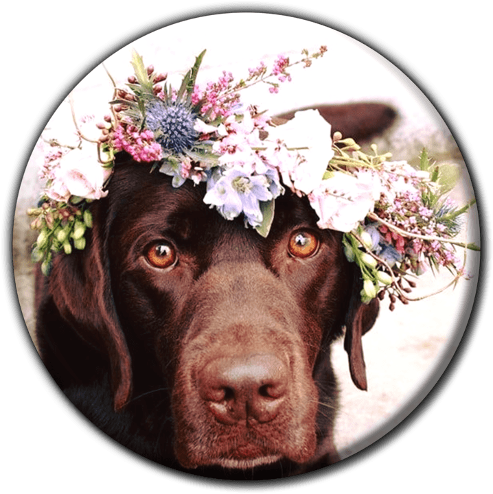 Flower Garden - Florists (Custom Bouquets, Event Décor & Flower Delivery) in Walvis Bay, Namibia