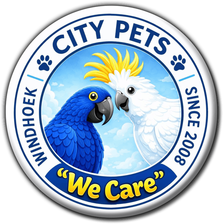 City Pets - Pet Parlours in Windhoek, Namibia