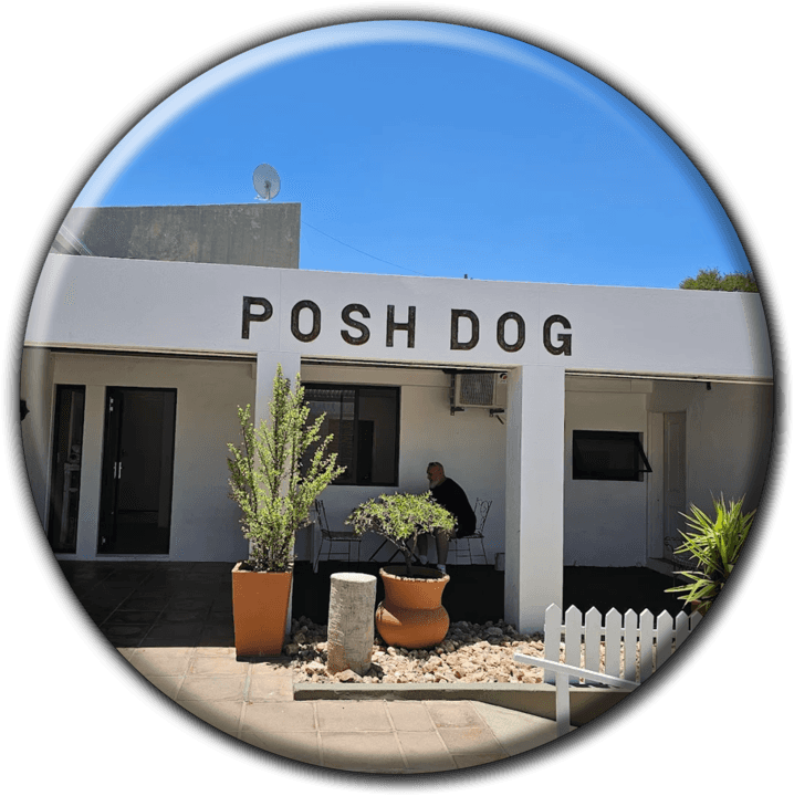 Posh Dog - Pet Parlours in Windhoek, Namibia