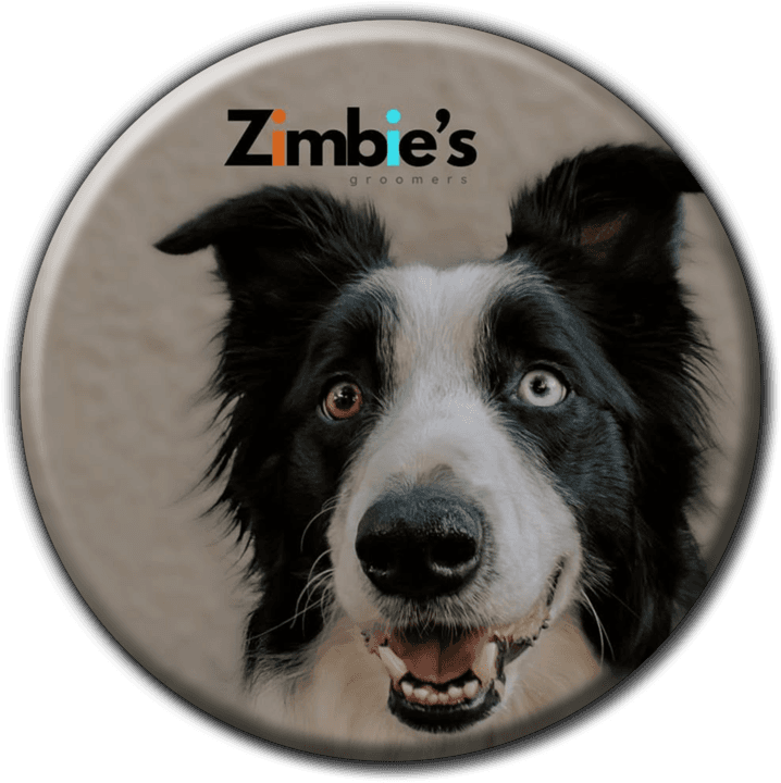 Zimbie's Groomers - Pet Parlours in Windhoek, Namibia
