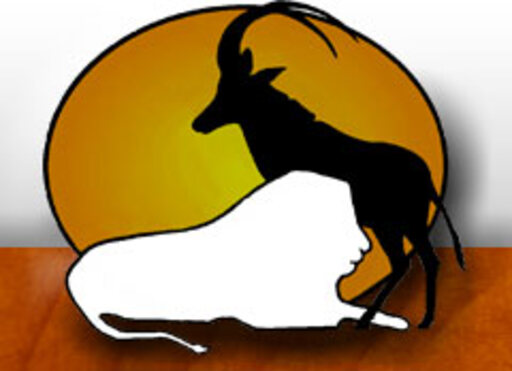 Erongo Taxidermy - Taxidermists in Otavi, Namibia