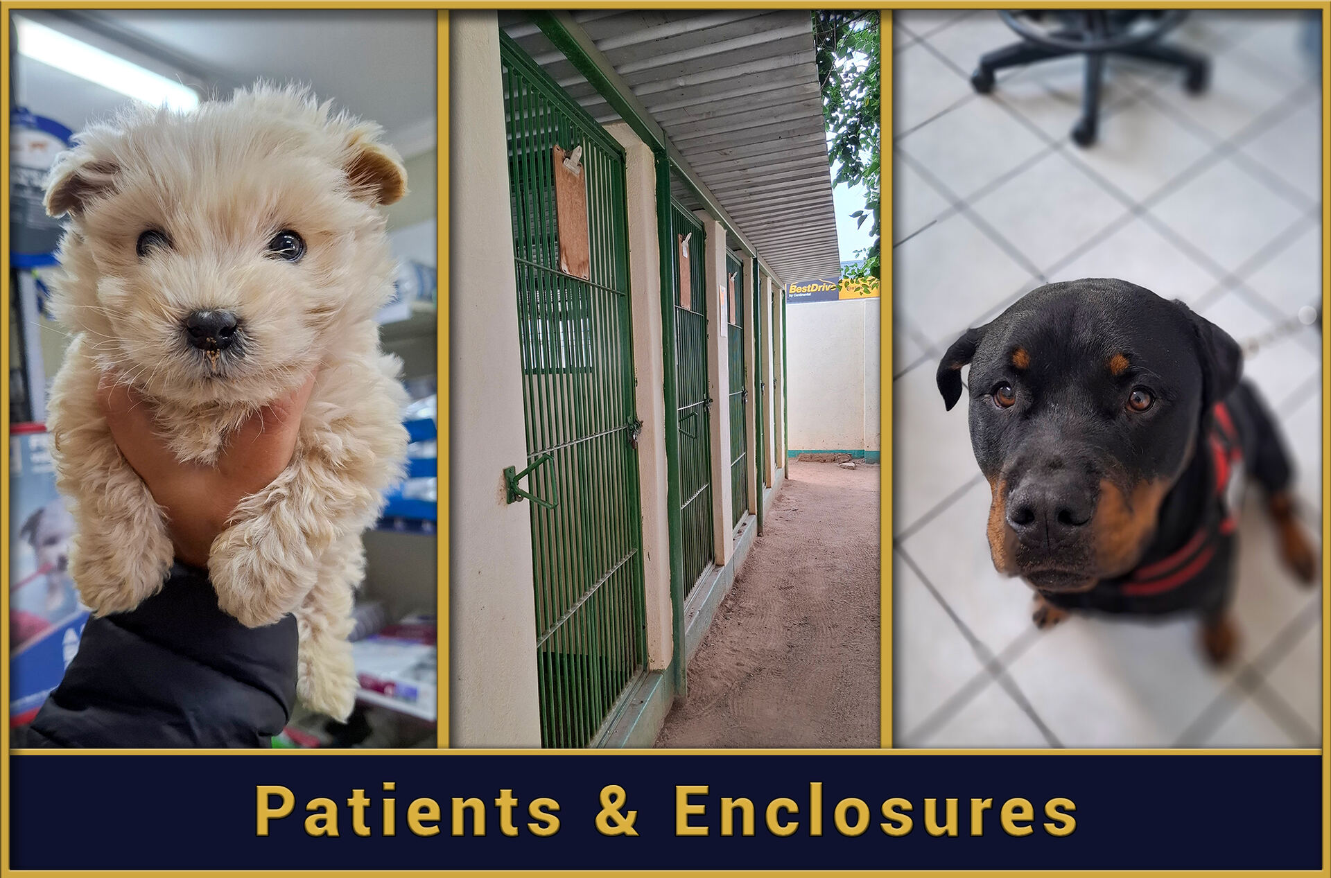 Patient & Enclosures