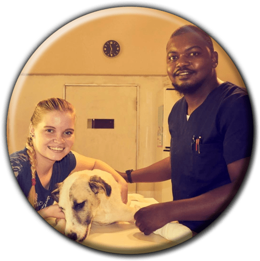 Tsumeb Veterinary Clinic - Veterinary Hospitals & Clinics (Pets, Livestock & Wildlife) in Tsumeb, Namibia